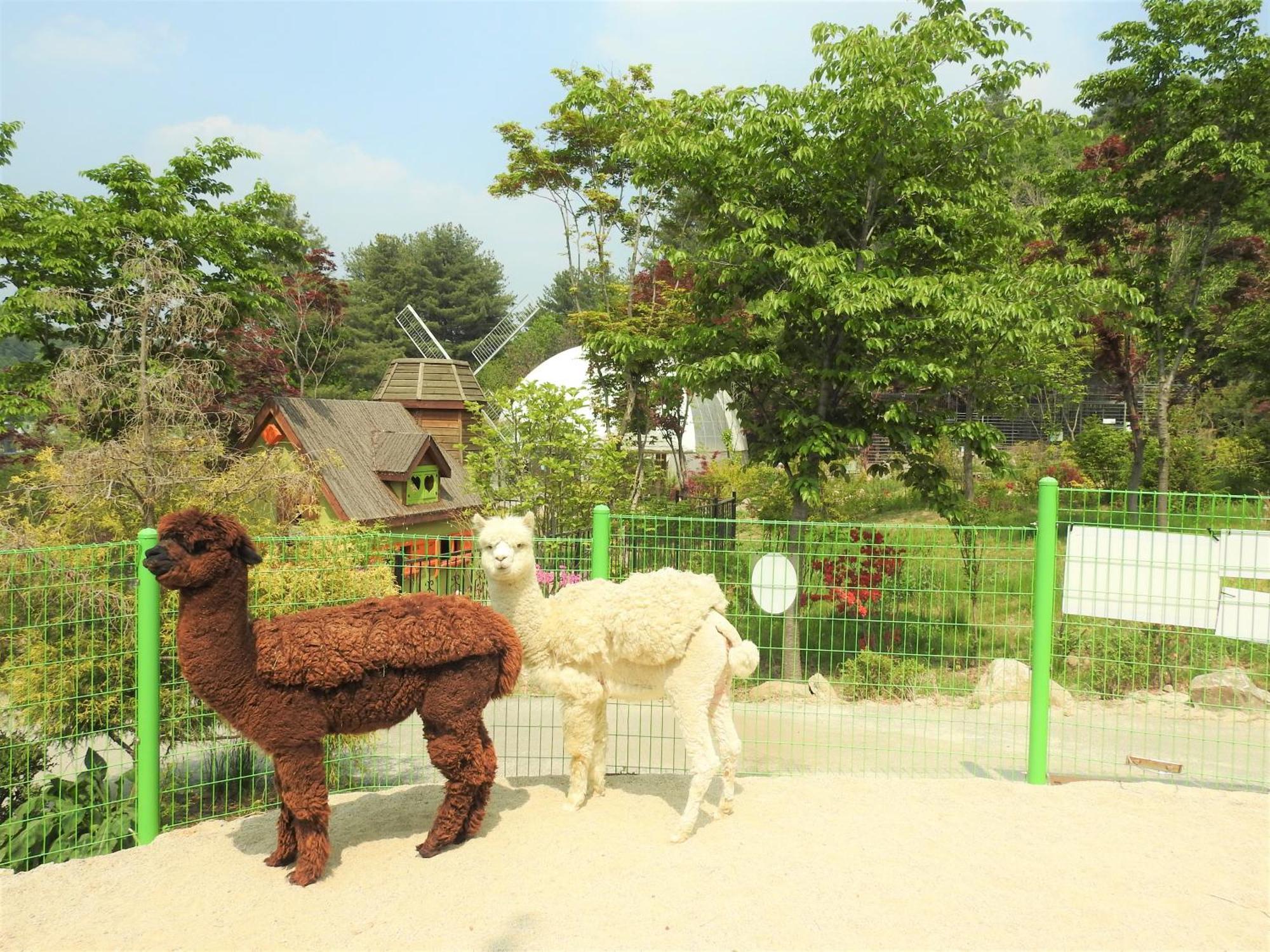 Kensington Resort Gapyeong Buitenkant foto